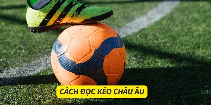 Kèo châu âu - Cách đọc bảng kèo 1x2 chuẩn xác cho người mới